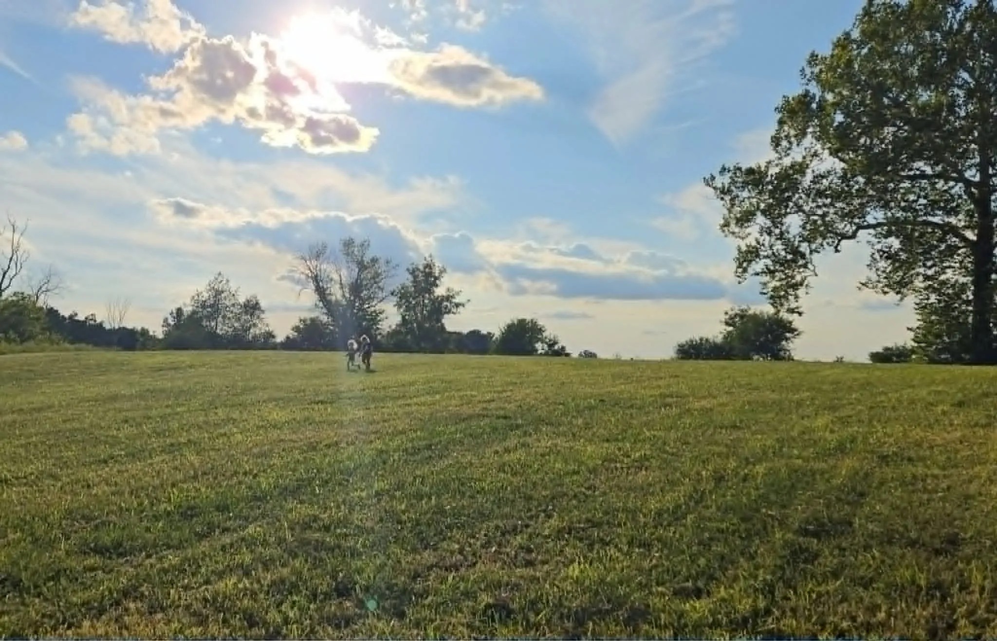 Two of the kids walking up the hilltop pasture at golden hour