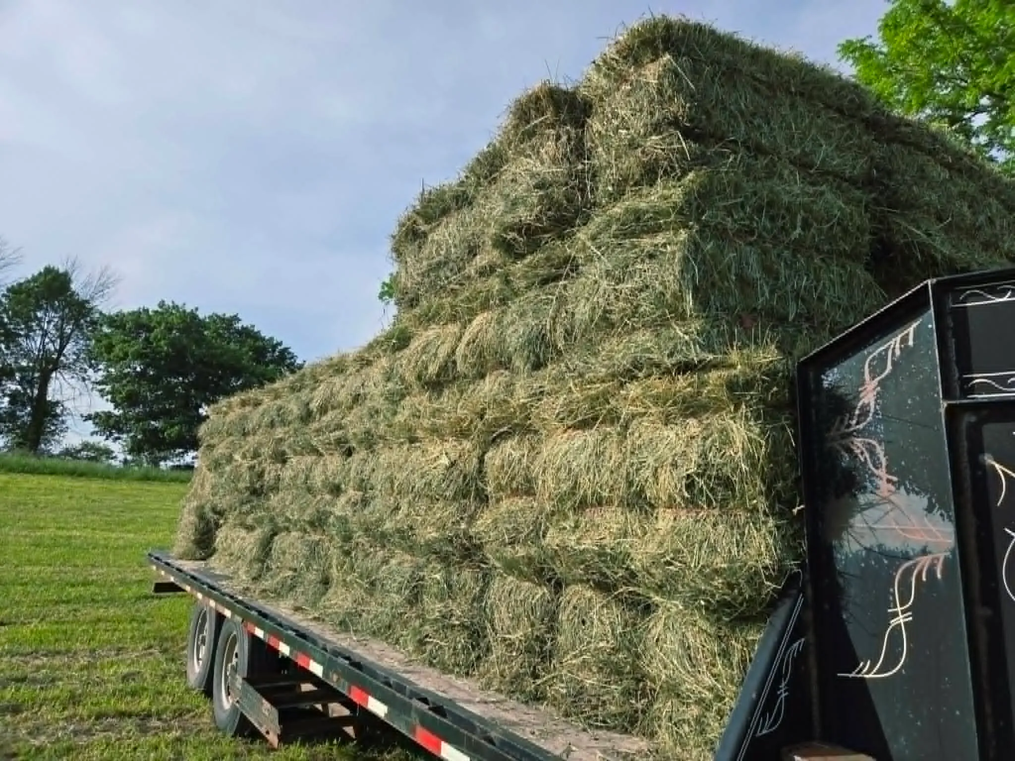 A flatbed trailer stacked high with small square bales