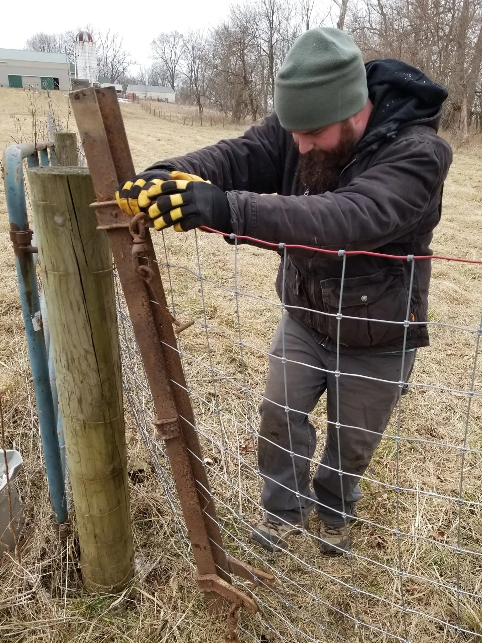 Stretching new woven-wire fence on a winter day